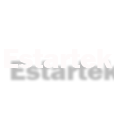 www.estartek.com